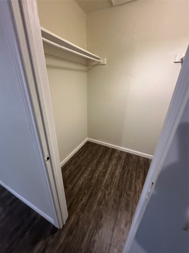 spacious closet with dark hardwood / wood-style floors