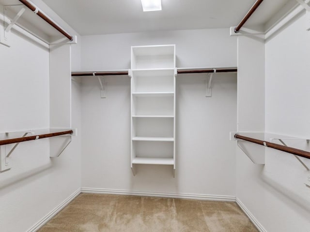 walk in closet featuring light colored carpet