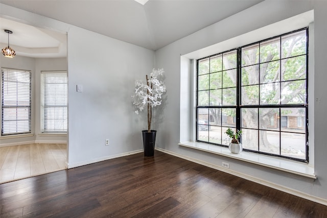 spare room with a tray ceiling, a wealth of natural light, and dark wood-type flooring