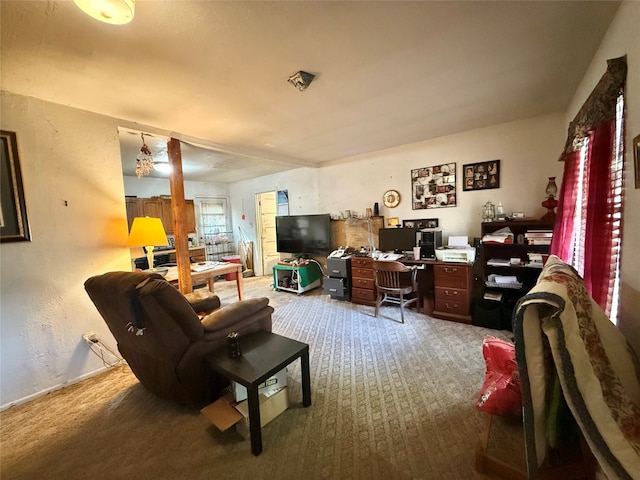 living room featuring carpet floors