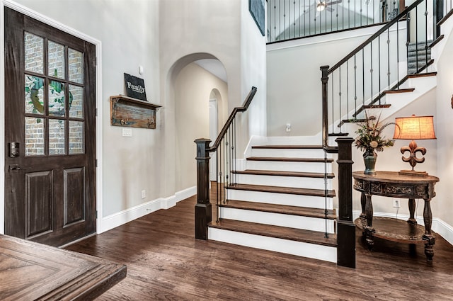 foyer with a towering ceiling and dark wood-type flooring