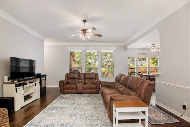 living room featuring dark wood-type flooring, ceiling fan, ornamental molding, and plenty of natural light