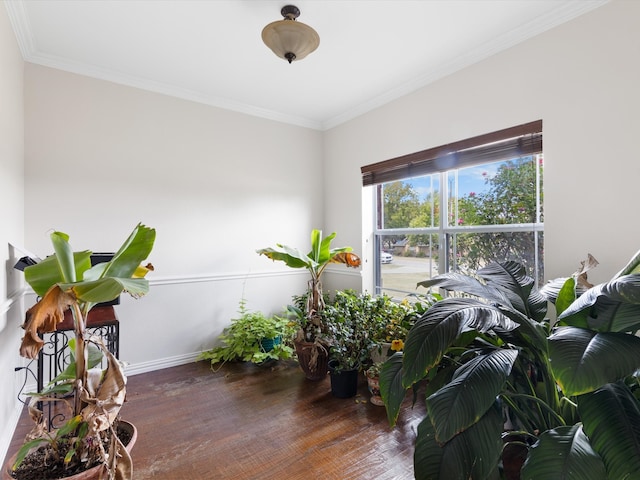 interior space with ornamental molding and dark wood-type flooring