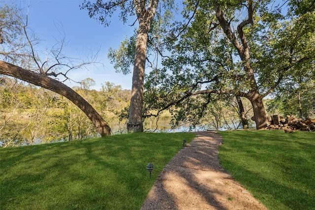 view of yard featuring a water view