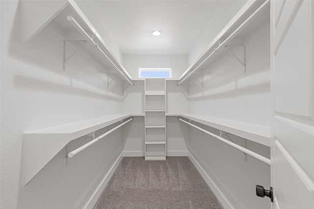 spacious closet with carpet flooring