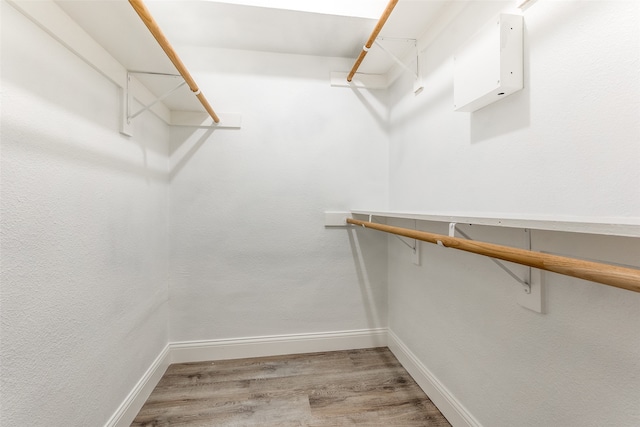 walk in closet with wood-type flooring