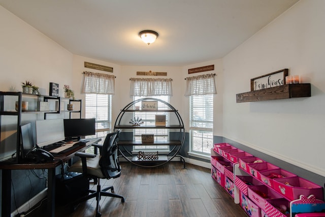 office with plenty of natural light and dark wood-type flooring