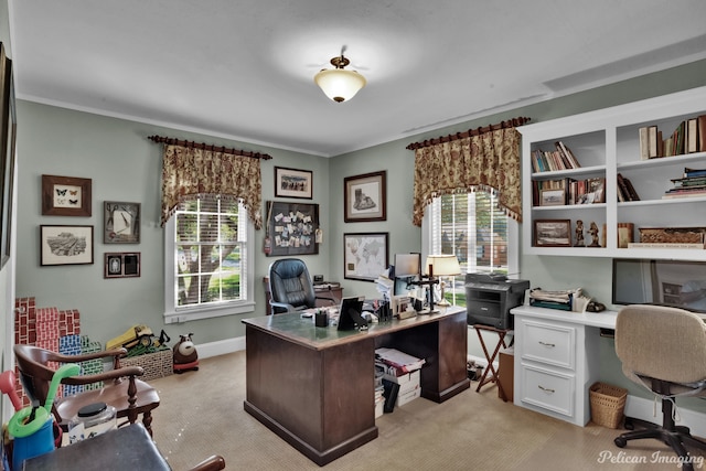 carpeted home office featuring ornamental molding and plenty of natural light