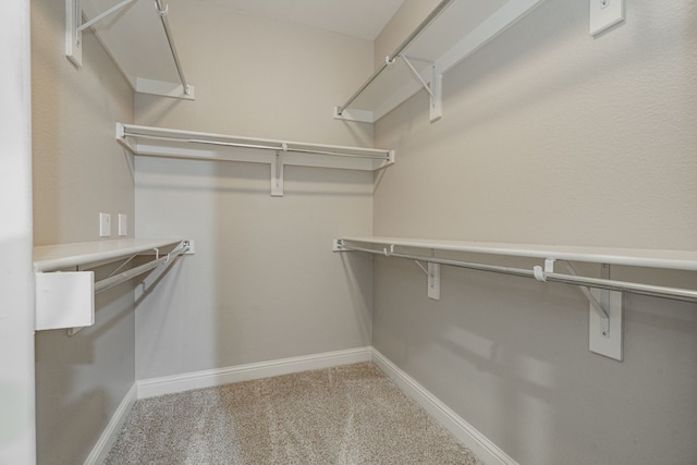 spacious closet with carpet flooring