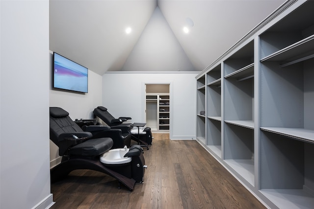 interior space featuring vaulted ceiling and dark hardwood / wood-style floors