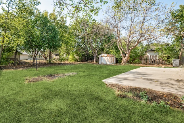 view of yard featuring a patio area and a shed