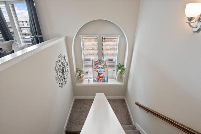 staircase with carpet flooring and a wealth of natural light