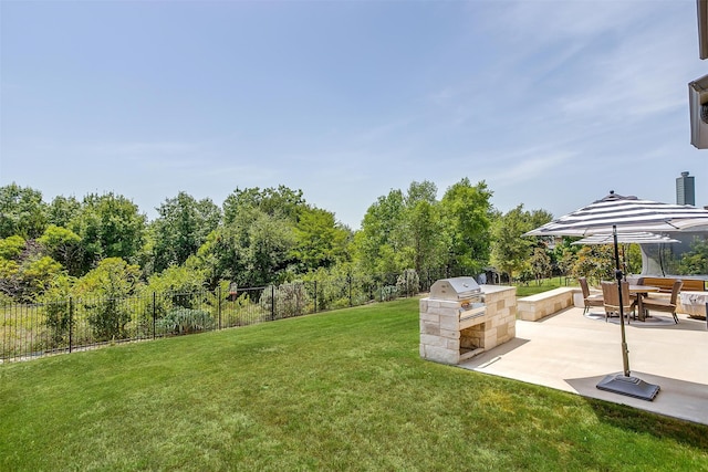 view of yard with exterior kitchen and a patio