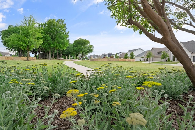 view of property's community featuring a yard