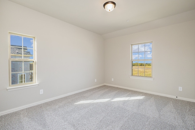 spare room featuring carpet flooring