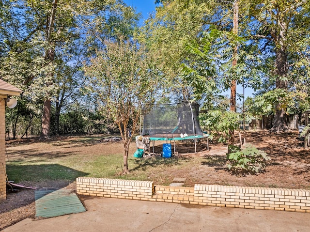 view of yard with a trampoline and a patio area