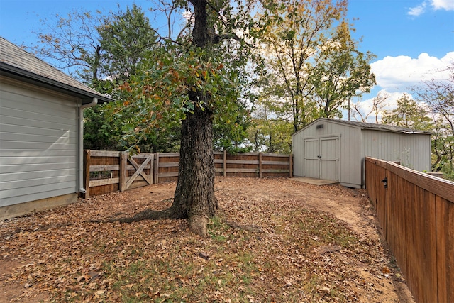 view of yard with a storage unit