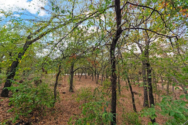 view of landscape