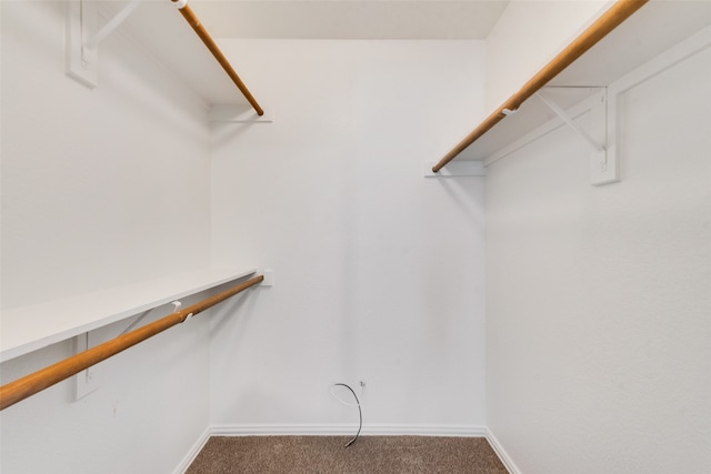 walk in closet featuring carpet floors