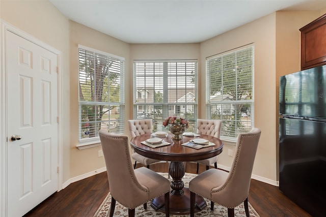 dining room with a wealth of natural light and dark hardwood / wood-style flooring