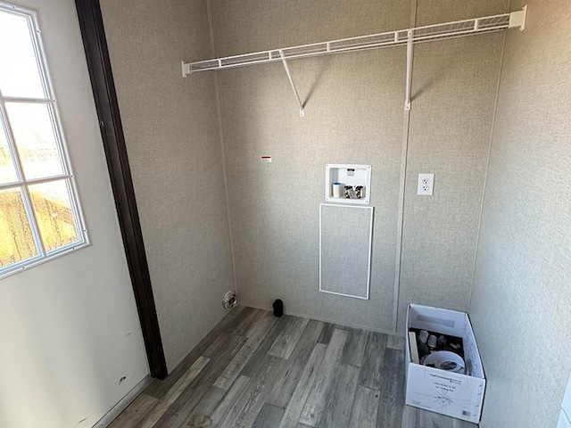 washroom featuring hookup for a washing machine, wood-type flooring, and a wealth of natural light