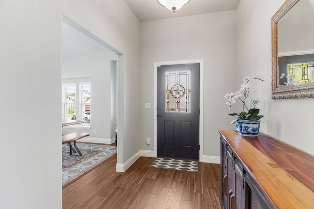 entrance foyer featuring dark wood-type flooring