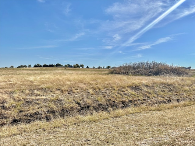 Listing photo 3 for TBD County Road 3624 Road, Lindsay TX 76250