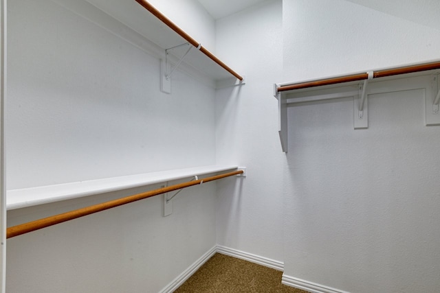 spacious closet with carpet flooring