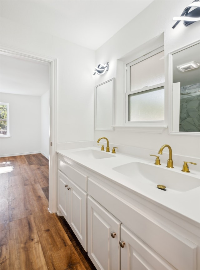 bathroom with vanity and wood-type flooring