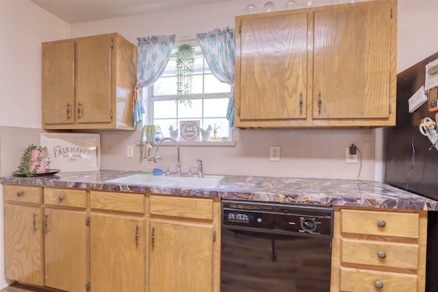 6495 Waterworks Rd, Midlothian, TX 76065 - kitchen with dishwasher, a sink, and dark countertops