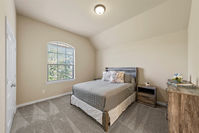 additional living space with lofted ceiling and carpet flooring