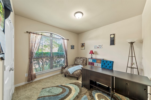 office with light colored carpet and ornamental molding