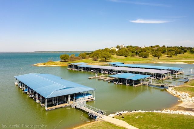 dock area with a water view