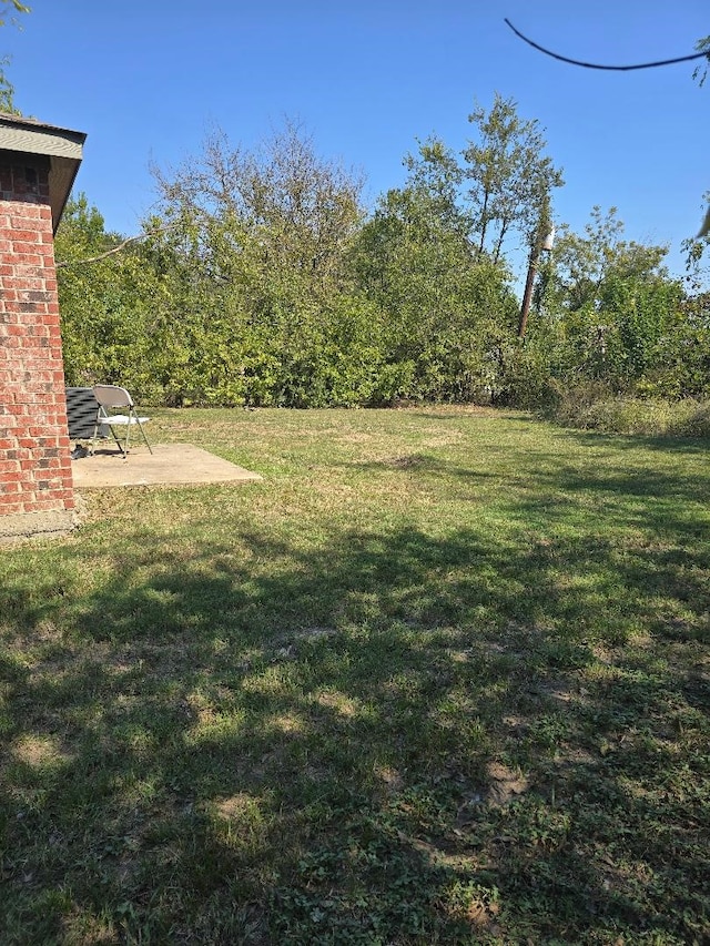 view of yard featuring a patio