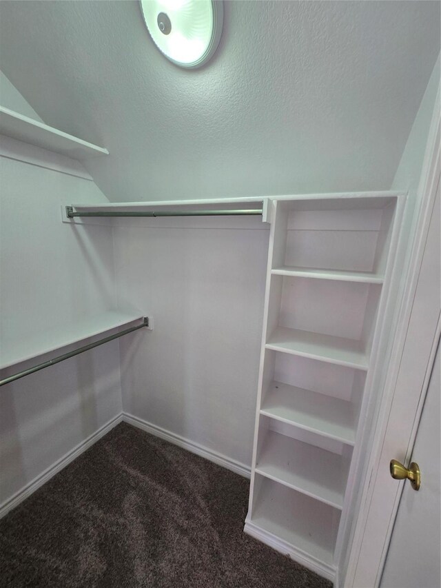 16536 County Road 221, Forney, TX 75126 - walk in closet with dark colored carpet