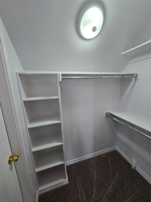 walk in closet with carpet