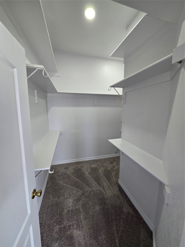 spacious closet featuring dark colored carpet