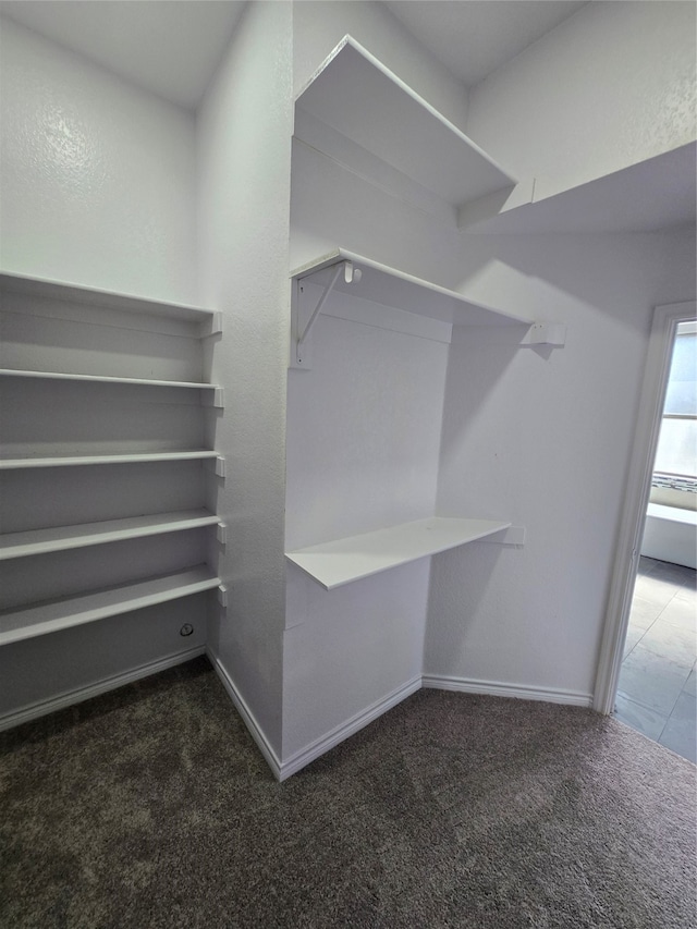 walk in closet featuring dark colored carpet