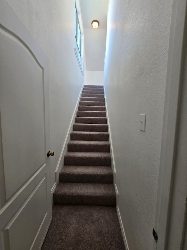 staircase with carpet floors