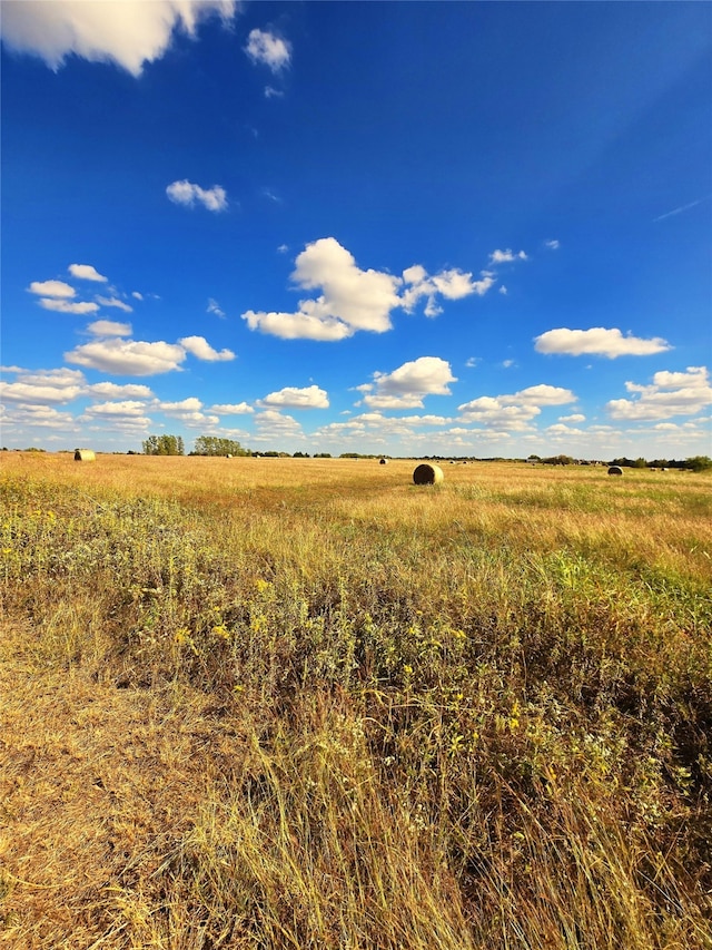 view of landscape featuring a rural view