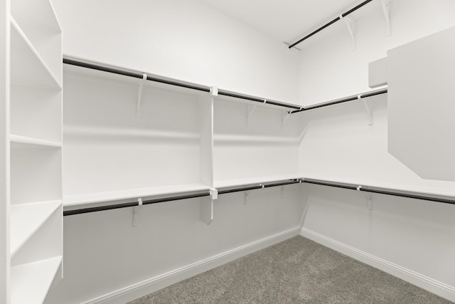 walk in closet with carpet