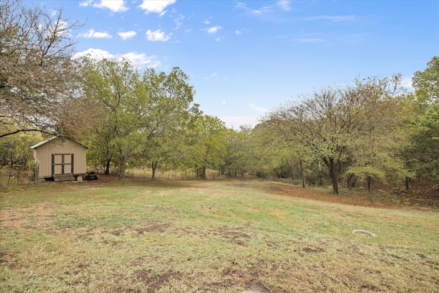 view of yard featuring a storage unit and a rural view