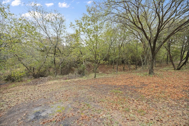 view of local wilderness