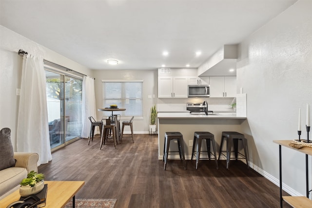 kitchen featuring white cabinetry, dark wood-type flooring, stainless steel appliances, kitchen peninsula, and decorative backsplash