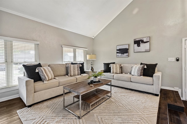 living room featuring hardwood / wood-style floors, high vaulted ceiling, and a healthy amount of sunlight