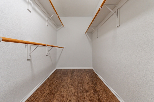 walk in closet featuring hardwood / wood-style floors