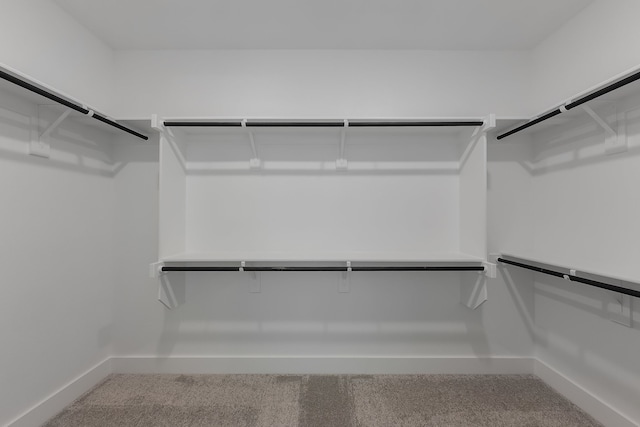 walk in closet featuring carpet