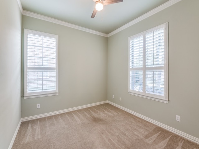 unfurnished room featuring light carpet and a healthy amount of sunlight