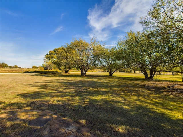 view of yard featuring a rural view