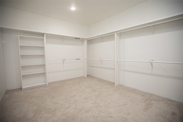 spacious closet featuring carpet